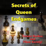 Secrets of Queen Endgames